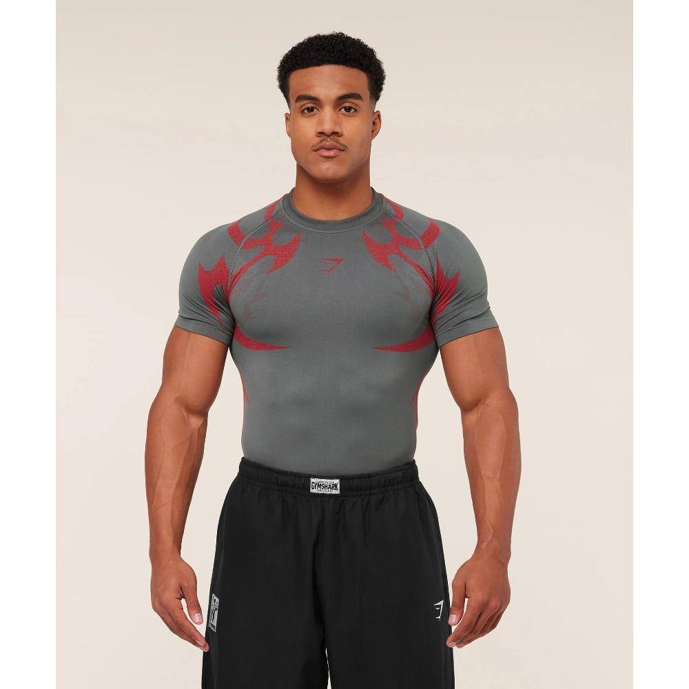 Short Sleeved Summer T-shirt Quick Drying Breathable Sports and Leisure Running Top Elastic Fitness