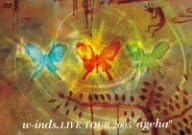 

DVD W-INDS. - w-inds. Live Tour 2005 ageha PCBP51588 Japan Japanese Pop/Rock Used