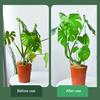 Extendable Plant Stakes Plant Support Stakes Set with Movable Clips Adjustable Monstera Support Stakes for Indoor Outdoor Plants Tomato Orchid