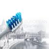 Oral-B Adult Toothbrush Set
