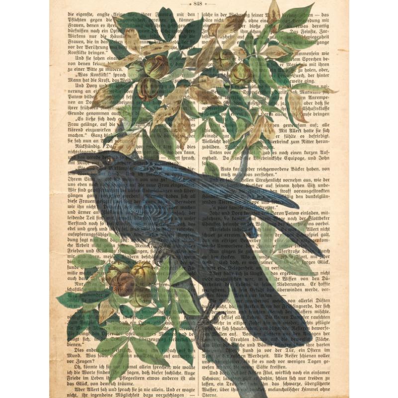 

Садовые птицы, гравюры на страницах старинных книг, ботанические животные, плакаты и гравюры, настенные картины, декор для гостиной и дома 21cm×30cm NoFrame