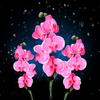 Waterproof Solar Moth Orchid Light Activated Yard LED Lamp Garden Pathway Lawn Light
