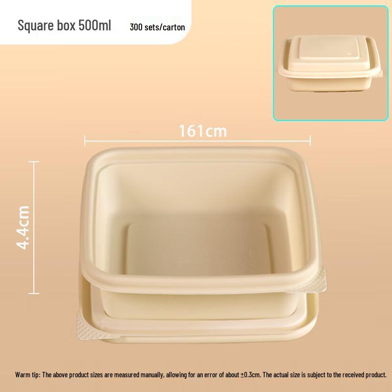 Disposable Biodegradable Square Lunch Boxes
