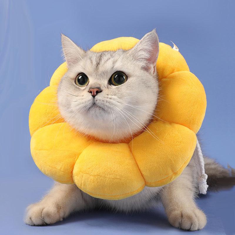 

Soft Sunflower Anti-Lick Cat Collar: Adjustable, Lightweight, Cute Elizabethan Headgear Extra Small