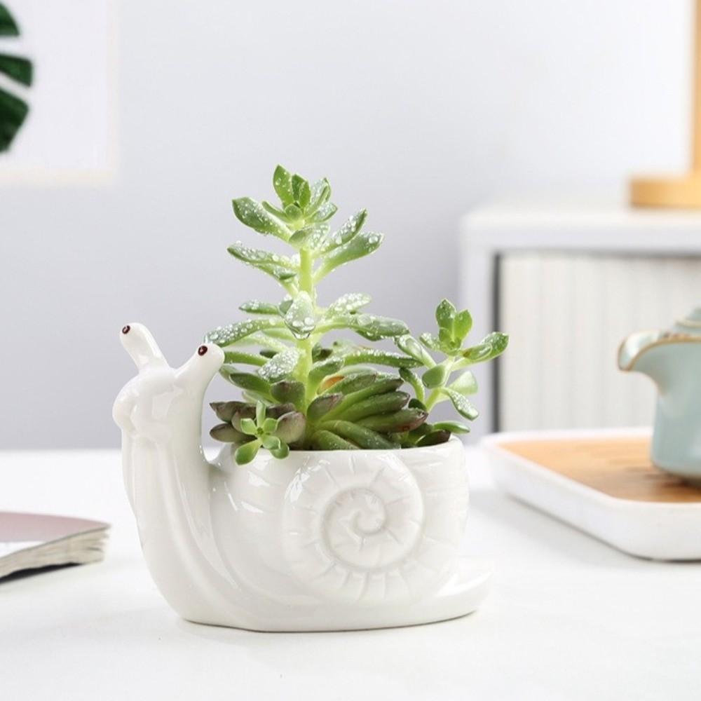 Pot de fleur en céramique en forme d'escargot Boîte de rangement Jardinière Pot pour succulentes Accessoires de bureau