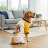 Thickened Dog Jumpsuit Color Block Comfortable Four Legged Clothes with D-Ring Bear Pattern Dog Warm Pajamas Outdoor