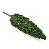 Complete Trees Layout Model Plastic SL-16059 Trees