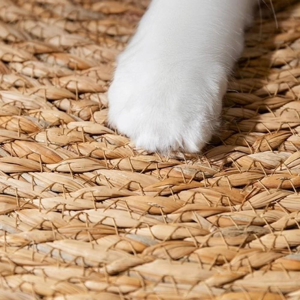 40/50/60cm Cat Scratcher Bed Weaving Cat Scratching Post Cat Scratch Pad Cat Toys