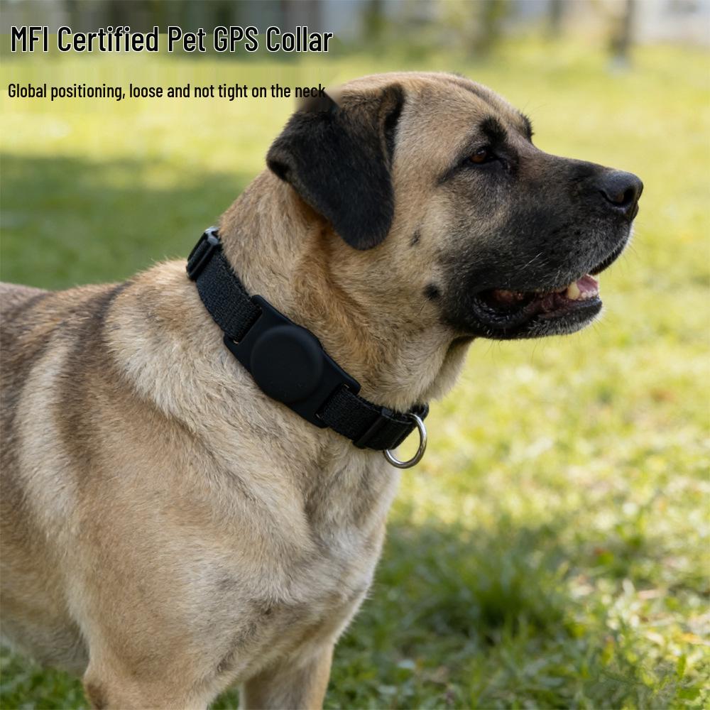 Smart iTAG Pet Collar Tracker - Global Anti-Lost Dog Locator