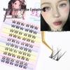 Ace Cat Claw Glue-Free Cluster False Eyelashes - 10 Rows of Natural, Segmented, Large-Capacity Lash Extensions.