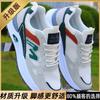 Summer New Single Mesh Hollow Breathable Dad Shoes Student Versatile Soft-soled Shoes Men's Non-slip and Wear-resistant Casual Men's Shoes