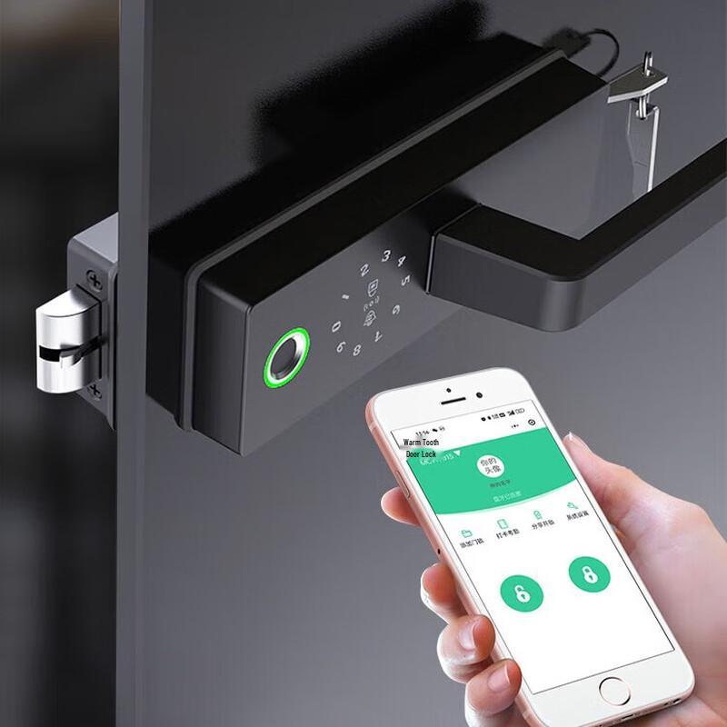 Умный стеклянный дверной замок Realand F13 по отпечатку пальца