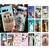 Phone Case For Google Pixel 10 9 Pro XL 9A 8 7 6 Pro Pixel 8A 7A 6A Pixel 8 7 6 5 Lama Alpacas Animal