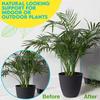 2PCS Half-Ring Plant Support Stakes U-Shaped Flower Support Rack Plant Grow Through Hoops  Garden