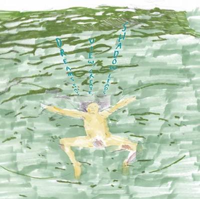 CD DUSTIN WONG  Dreams Say View Create Shadow Le ARTPL024 Plancha 2011 Japan Rock Used