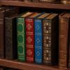 Libro Segreto Contenitore Decorazioni Finte, Design Vuoto con Coperchio Ribaltabile, Scatola Decorativa Stile Scatola Vintage, per Tavolino, Esposizione su Libreria