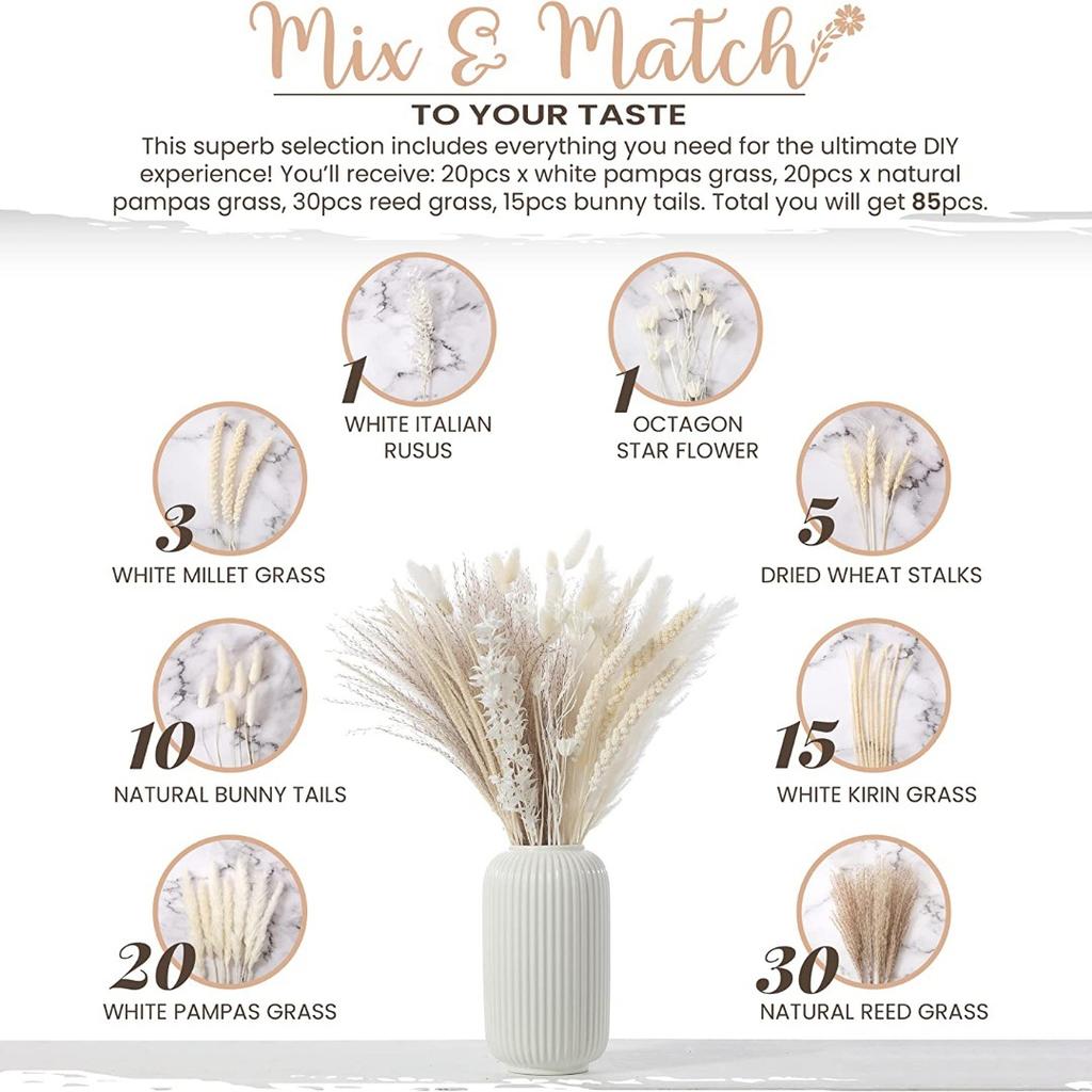 Feixe de Capim dos Pampas, Capim Rabo de Coelho, Juncos, Capim dos Pampas – Decoração Seca Fofa para Casa