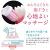 Systema Gum Plus Toothbrush Wide Compact Soft Floss Included 6-Pack + Y-shaped