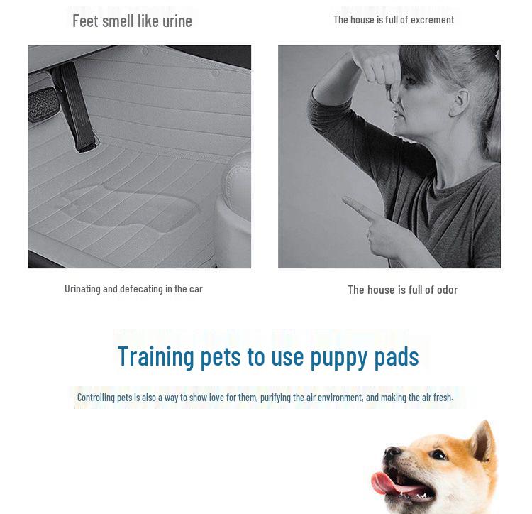 Absorbent Dog Training Pads - Thickened, Deodorizing Pet Urine Pads, Teddy Diapers for Dogs.