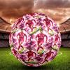 1pc Global Soccer Stars Size 5 Football Soccer Balls, Competition Sport Football Indoor And Outdoor Training Ball.Q702018