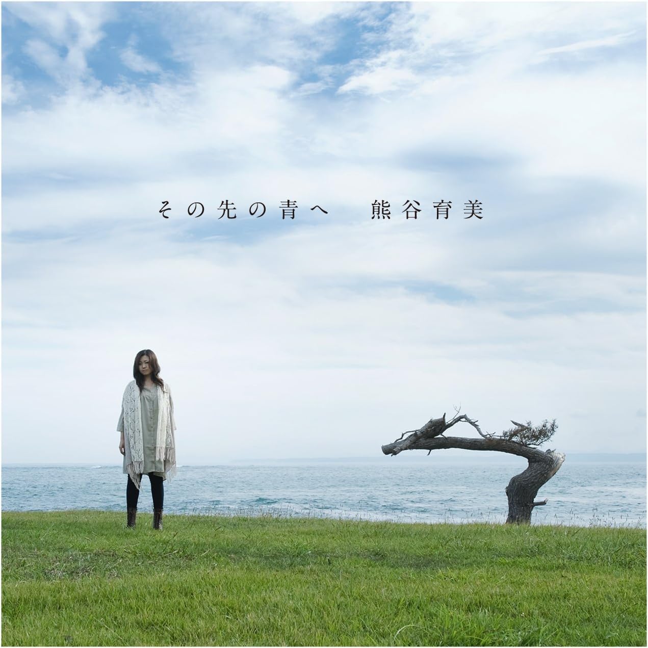 

CD ИКУМИ КУМАГАИ - Sono saki no ao he TECG30056PROMO Япония ОбиЯпонская поп/рок Б/У