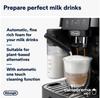 Кофемашина DeLonghi ECAM 220.60.B Magnifica Start