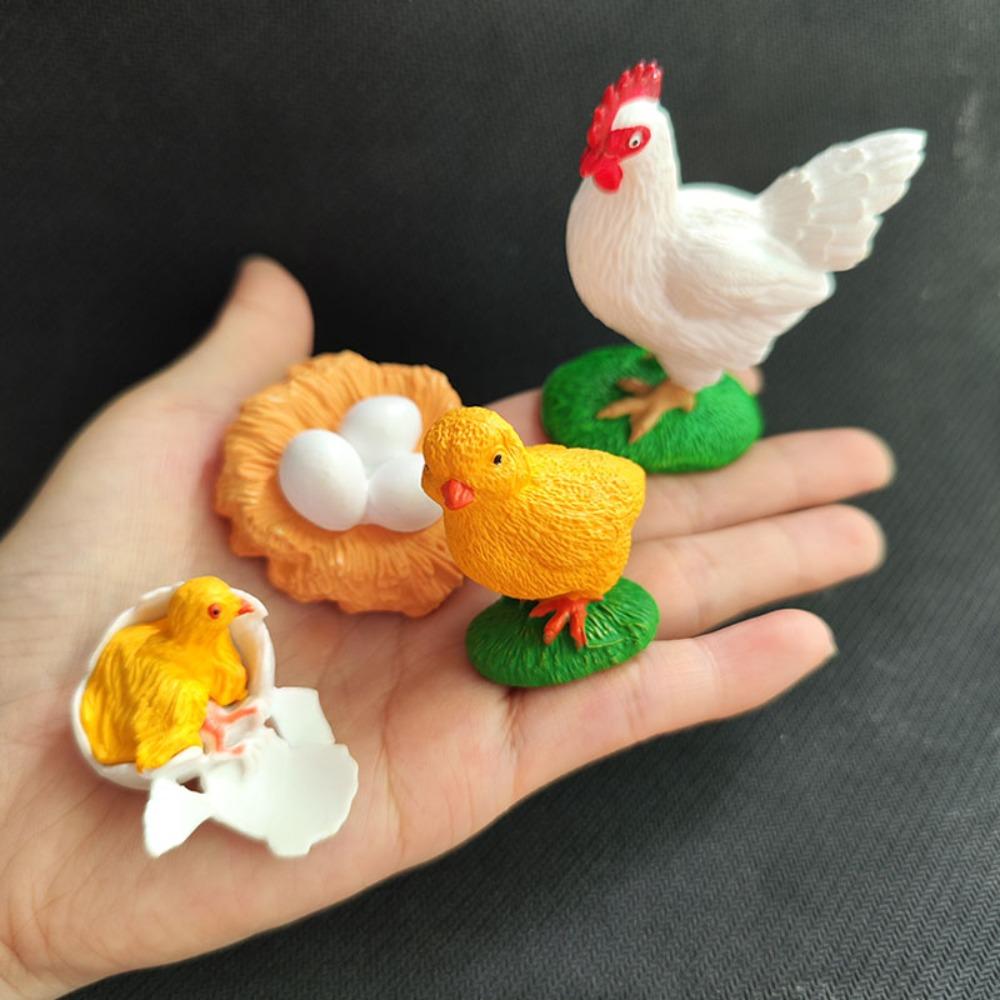 Cycle Figurine Animal Life Cycle Children Toys Simulation Plant Model Animal Growth Cycle Model