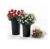 Flower Tube 20 Type Black Set of 5