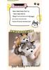 Cartoon Husky Plush Toy - Small Dog Comfort Doll for Children's Birthday Gift