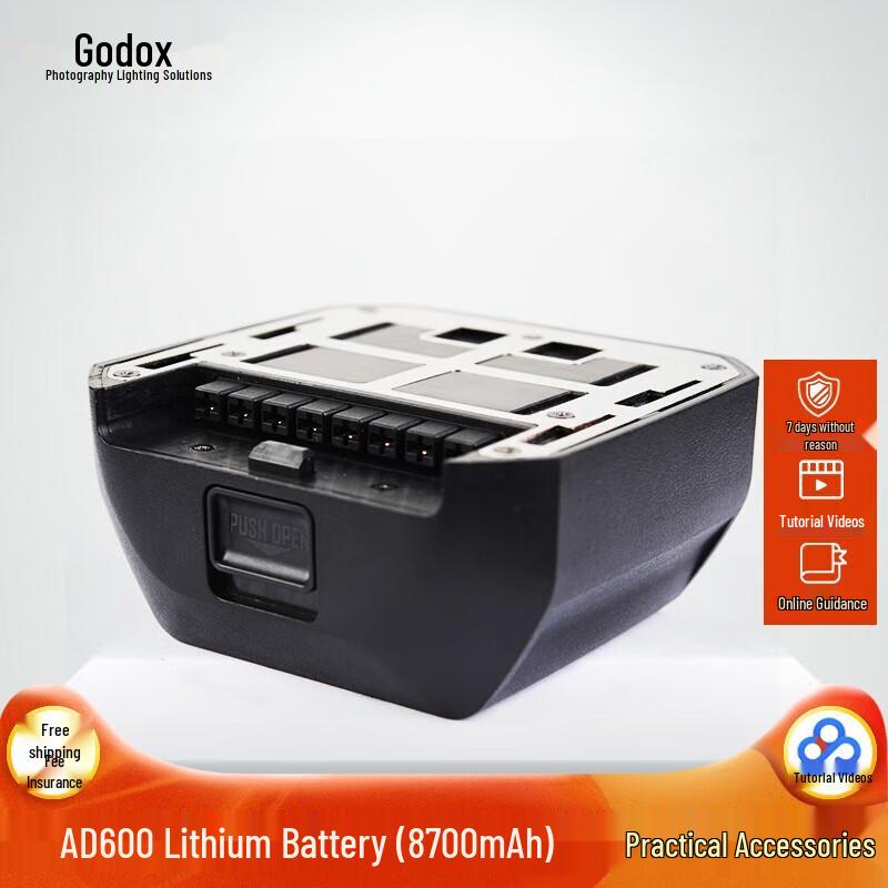 Godox AD600 Standard Split Lamp Head