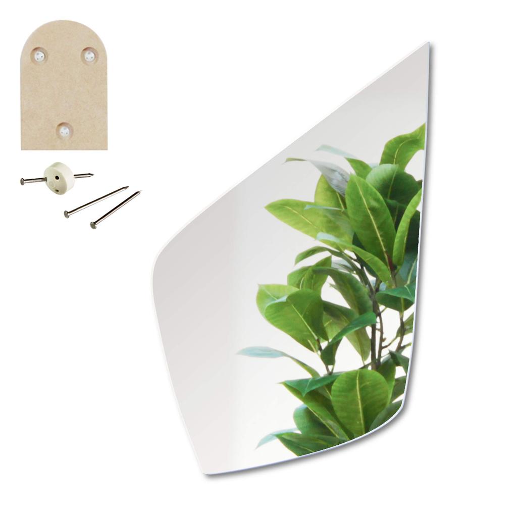 Paste Mirror Wall Hanging Entrance Toilet Jewelry X 37cm Wall Compatible Paste Mirror Design Kagami Shape Jewelry 23.5 [Rental Mirror]