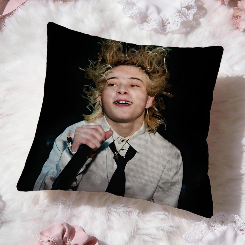 Nettspend We Not Like You Cushion Cover Premium Comfort Reversible Pillow Cove -Two in One Design for Any Room & Car Interior