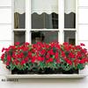 Silk Balsam Artificial Flowers High Quality Wedding Home Room Table Centre Decora Wreath Bridal Bouquets Yard Filler Arrangement