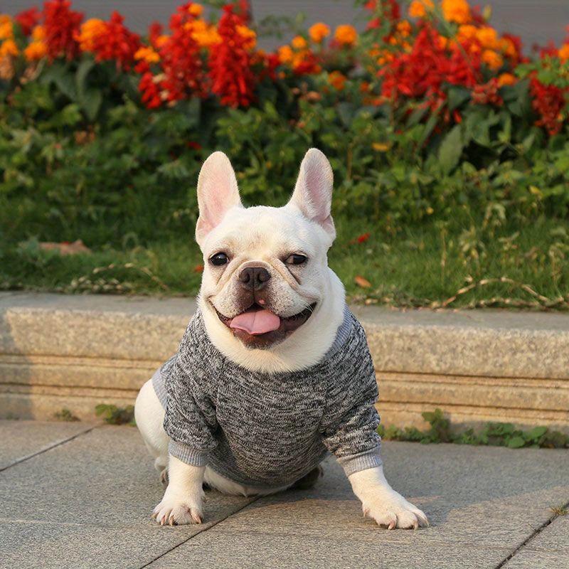Warm Winter Dog Clothes French Bulldog Sweatshirt Pet Pullover