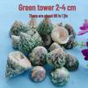 Conch Shells & Starfish for Hermit Crabs: Aquarium Decor & Drift Bottle Accessories
