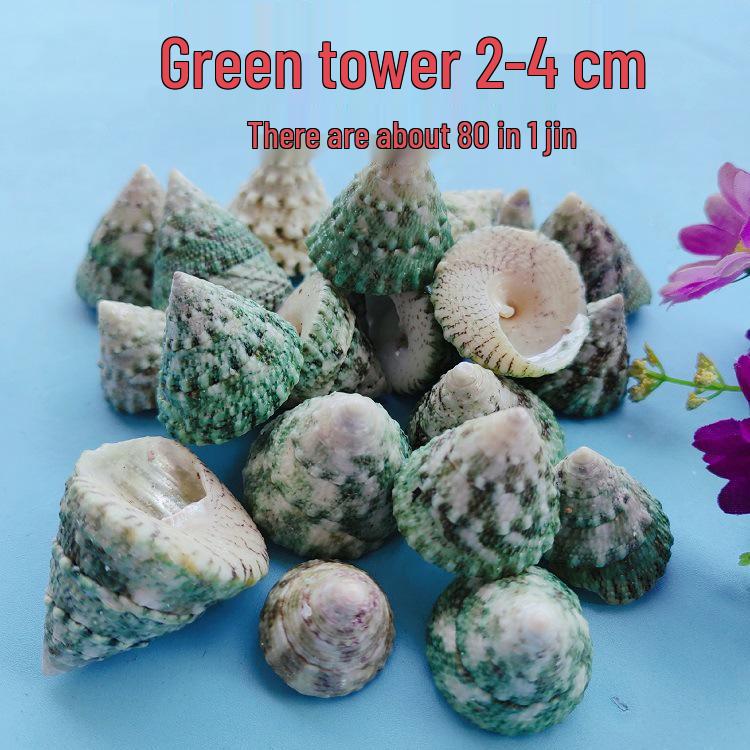Conch Shells & Starfish for Hermit Crabs: Aquarium Decor & Drift Bottle Accessories