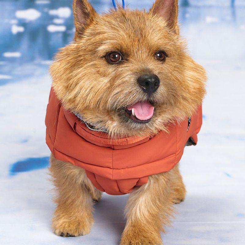 MUNIKUND Thermal Up Polsterung Air 2 - Ziegelrot