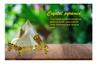 Eshoppee Vastu/feng Shui/Reiki/Crystal Vastu Pyramid with Stand Pyramid for Positive Energy and Vastu Correction.Good Luck & Prosperity