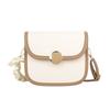 Trendy Crossbody Messenger Bags For Women Fashion Small Underarm Shoulder Bag Purse All-match Female Solid Color Hasp Flap Bag