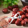 Professional Grades Cherries Pitter Heavy Duty Nonrust Steel Designs Easy Cleaning Fruit Stone Remover