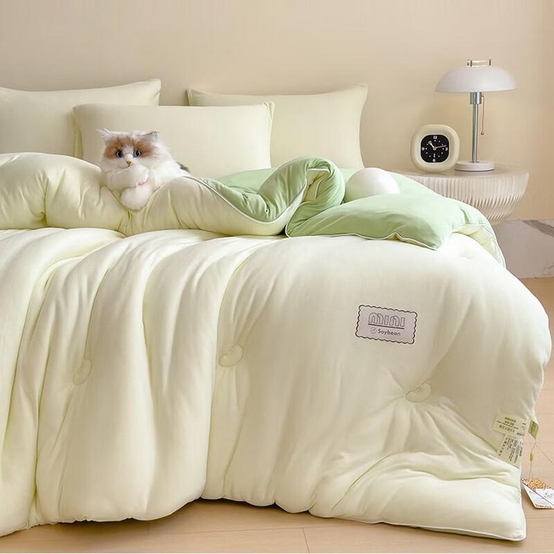 mling Soy Fiber Winter Quilt