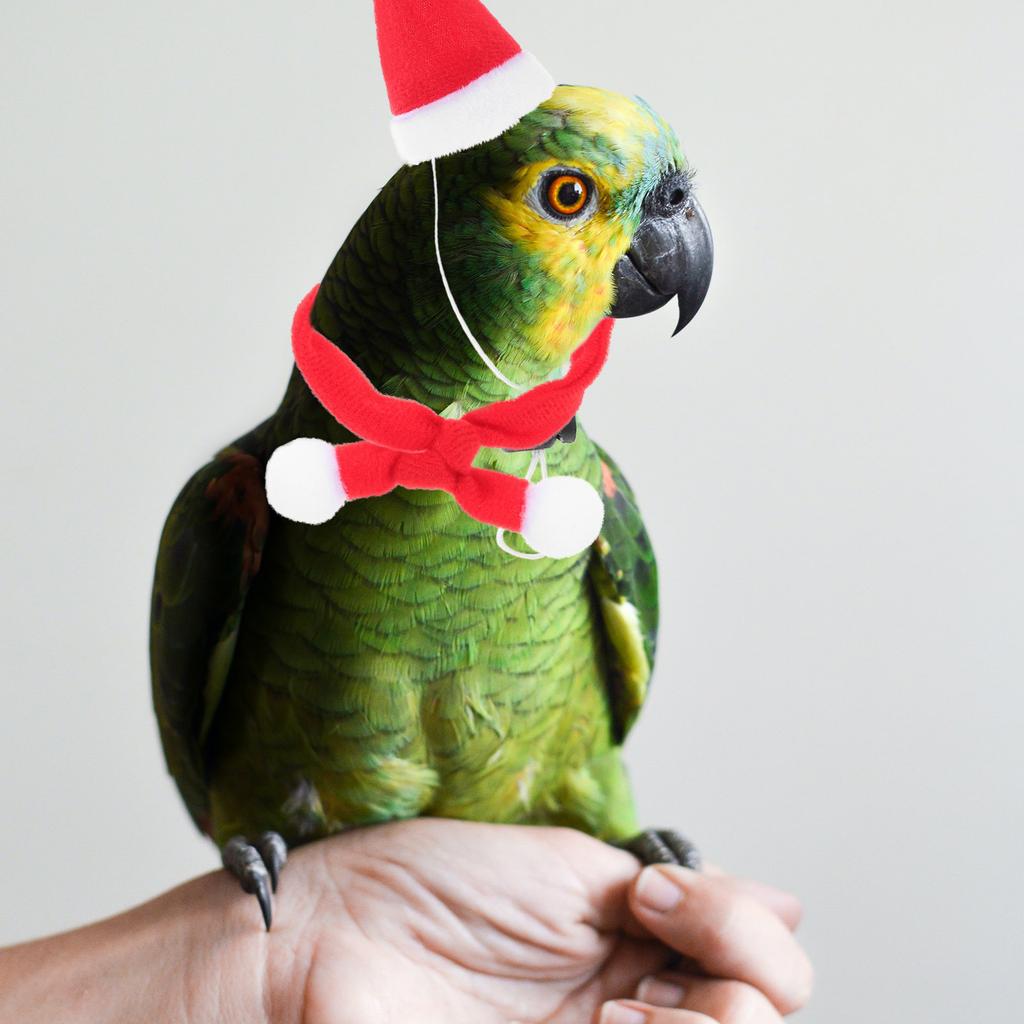 6Pcs Christmas Pet Hat and Scarf Xmas Costume Set Dog Cat Xmas Party Supplies Decorative Accessories Dog Costume Set