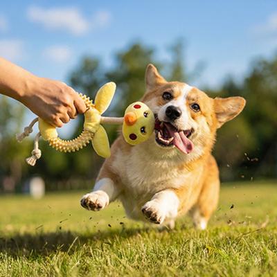 Plüsch-Vogelhundespielzeug, stacheliger Gummiring, Stofftier-Kauspielzeug für Vögel, Seilknoten, interaktives Tauziehspielzeug zur Zahnreinigung für kleine und mittelgroße Hunde
