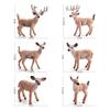Children's Cognitive Forest Animal Deer Set: White-tailed Deer Fawn Ornaments & Figurines