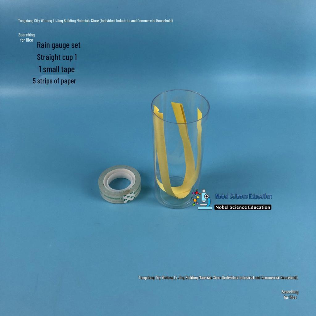 DIY Weather Station Kit: Weather Vane, Rain Gauge, and Wind Sock Materials for Experiments