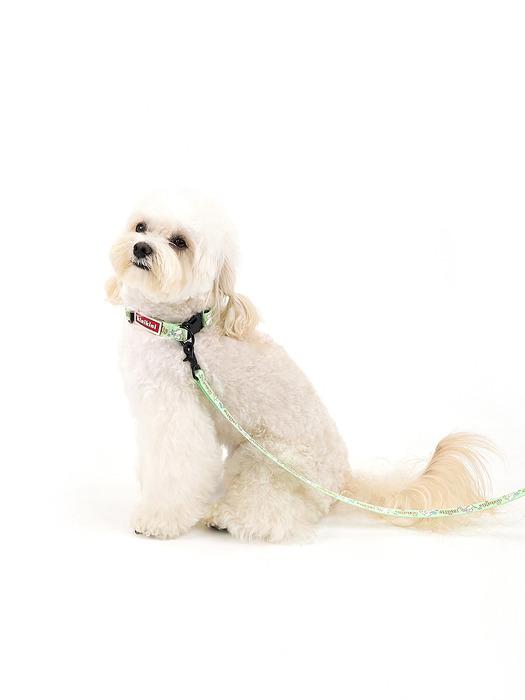 

KINIKINI [Kinikini X Up Up] TWINKLE CHICHI LEASH-GREEN (Leash) FREE