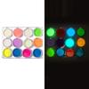 2g Mirror Effect Luminous Nail Powder Fluorescent Glitters Manicure Pigment