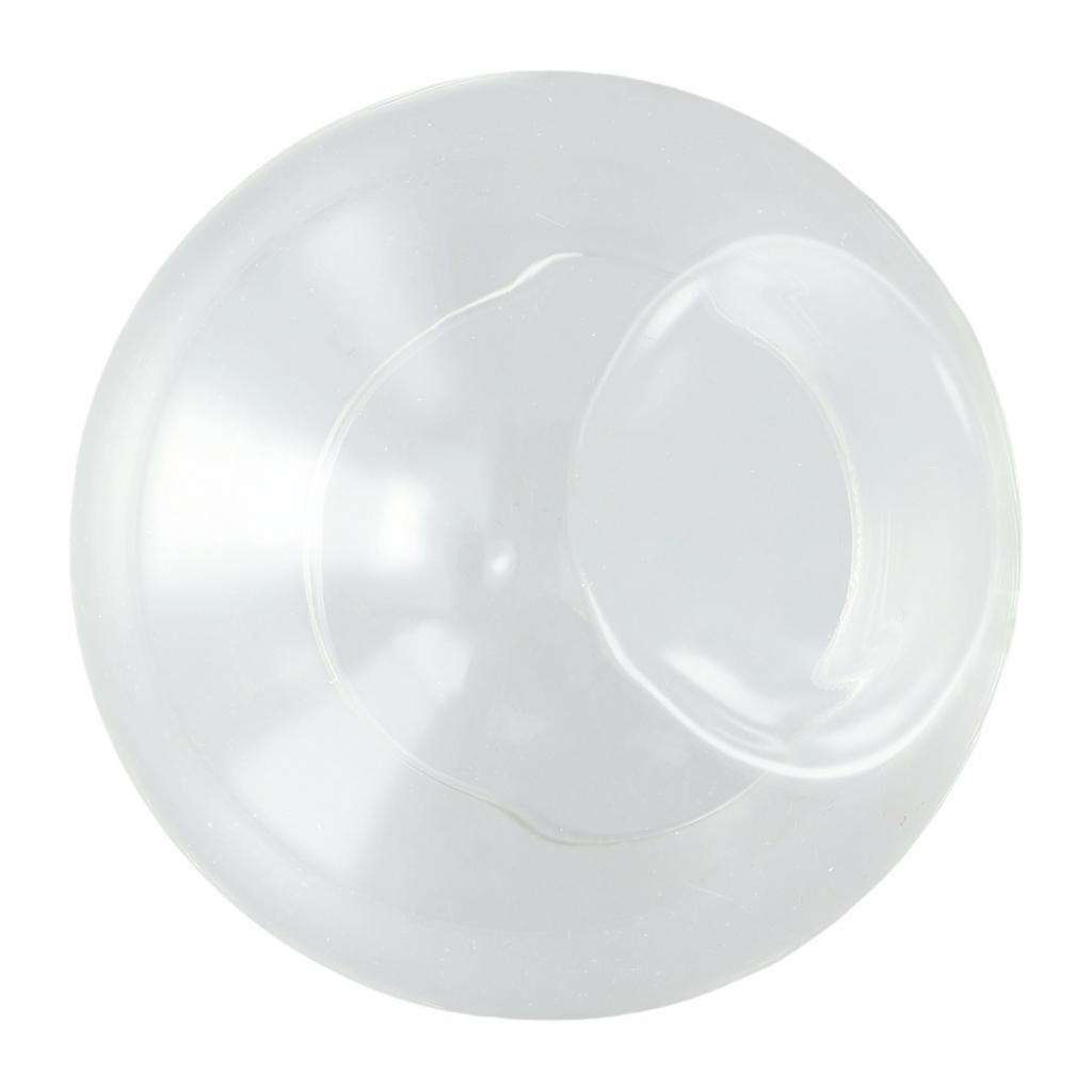 Kugelkugeln Klarglas Feier Weihnachten Sukkulente 1 St.