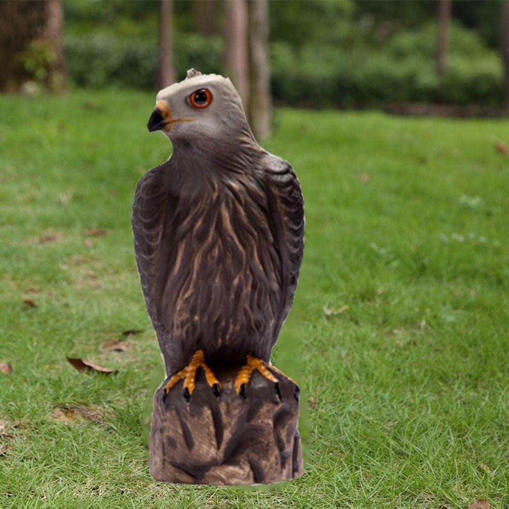 Sturdy Eagle Repellents Statue Lifelike Birds Decoy Hawk Creative Hawk Ornament Outdoor Courtyard