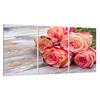 Glass Hob Protector 3x30x52